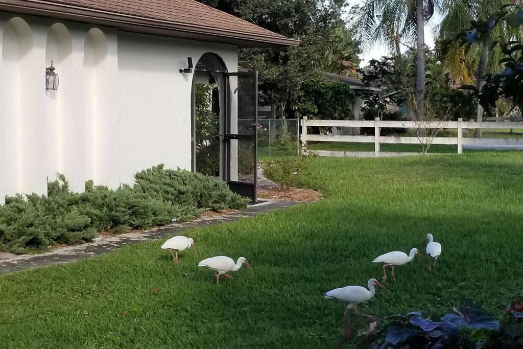 Bonita Oasis Villa Bonita Springs Exterior foto